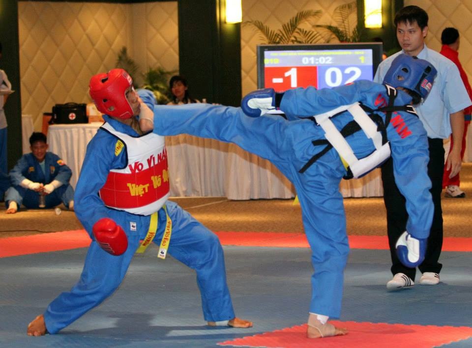 Các đòn hợp lệ trong vovinam