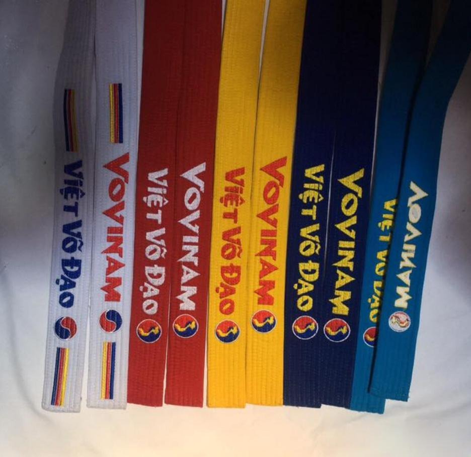 Hệ thống đai vovinam