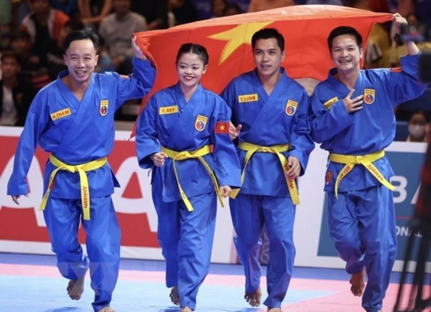 Vovinam là gì