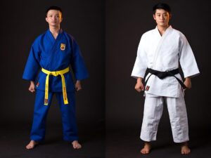 Vovinam và Karate