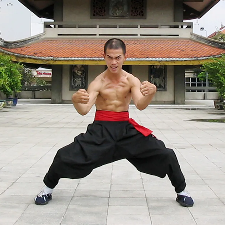 Võ nam huỳnh đạo là gì
